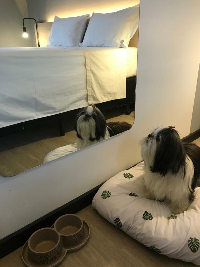 Naalt Hotel 4*